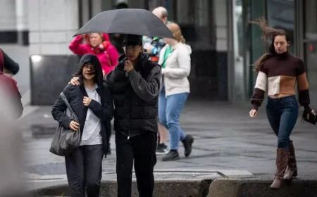Environment Canada Forecasts Windy Wednesday for Hamilton and Niagara Region