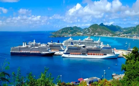 Carnival cruise death ruled homicide: what a “bar hold” is, the Anna Kepner case timeline, and the latest family-court developments