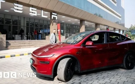 Tesla Stresses Low Costs Despite Disappointing Sales in India