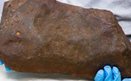 Man Discovers Rock He’s Kept for Years is Surprisingly Valuable