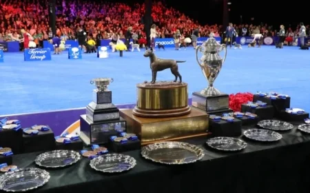 Meet Soleil: 2025 National Dog Show Champion