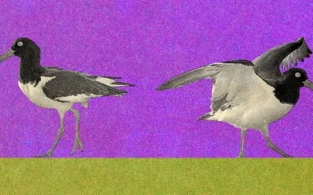 Reconnecting with My Mom After Years of Estrangement