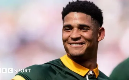 How Llandovery College Shaped Springbok Superstar Feinberg-Mngomezulu
