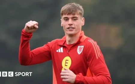 Buying a Ticket Leads to Playing for Wales