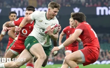 Wales vs South Africa: Live Rugby Autumn Internationals Updates and Scores