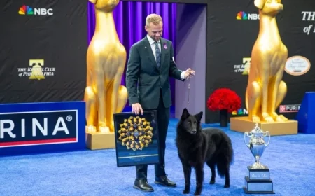 Belgian Sheepdog Soleil Triumphs with Top Honor at National Dog Show