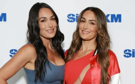 Nikki Bella Hints at Brie Bella’s WWE Comeback