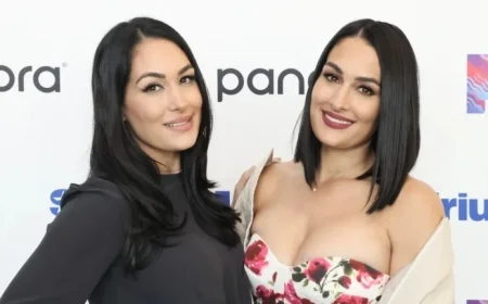 Nikki Bella Describes WWE Journey as ‘Lonely’ Without Sister Brie