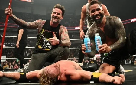 CM Criticizes Logan Paul: ‘Most Find Him Unlikable and Arrogant’