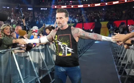 Unveiling WWE’s Mystery Attacker Post Survivor Series WarGames Disappointment