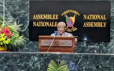 Cameroon to Boost Key Infrastructure with 2026 Budget Plan