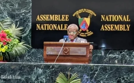 Cameroon Enhances Infrastructure with 2026 Budget Plan