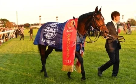 2025 Japan Cup: Viewing Guide and Key Details