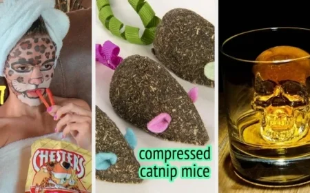 58 Perfect Stocking Stuffers for Everyone, Including Pets