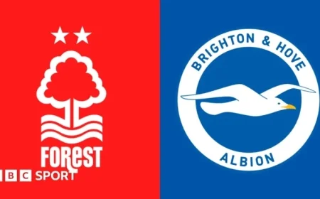 Nottingham Forest vs. Brighton: Essential Stats and Highlights