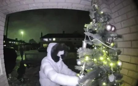 Hooded Thief Steals Christmas Tree from Mother’s Doorstep