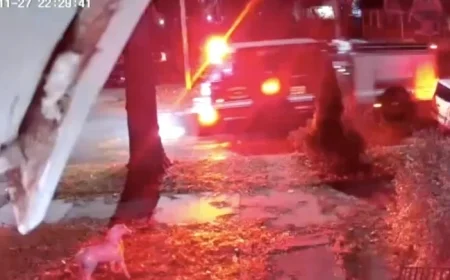 Teen Gives Birth at Detroit Home, Dispelling Newborn Porch Drop-Off Claims