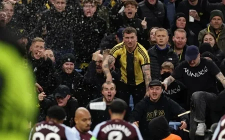 Young Boys Apologize for Fan Disturbance at Aston Villa Match