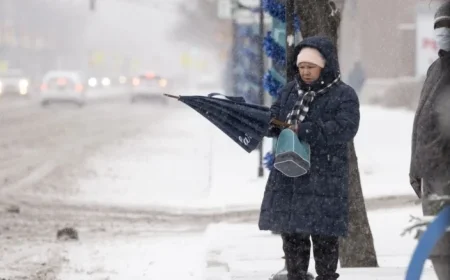 Chicago Experiences Snowiest November Day on Record, Say Forecasters