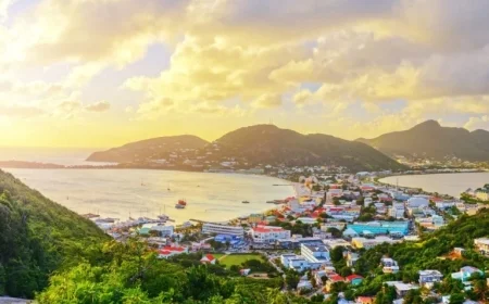 Search Intensifies for Missing Cruise Passenger After Contact Made