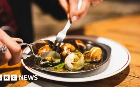 Thieves Steal €90,000 of Escargot Snails from French Farm