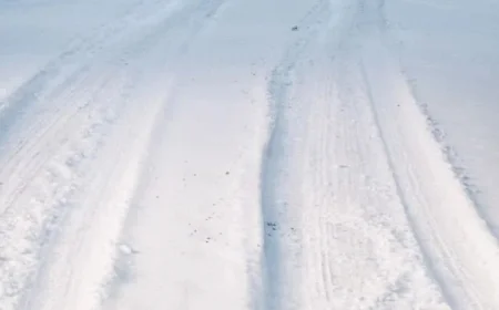 SE Michigan Snowfall Totals by County After Overnight Winter Storm