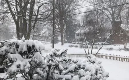 Will Snow Blanket New York and New Jersey This Week?