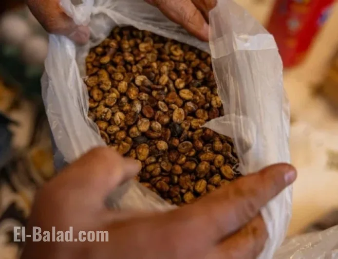 White House Reduces Tariffs on Additional Brazilian Imports