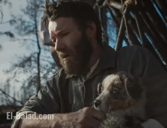 “Stream Now: 10 Must-Watch Movies from ‘Train Dreams’ to ‘Jingle Bell Heist'”