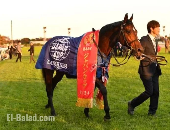 2025 Japan Cup: Viewing Guide and Key Details