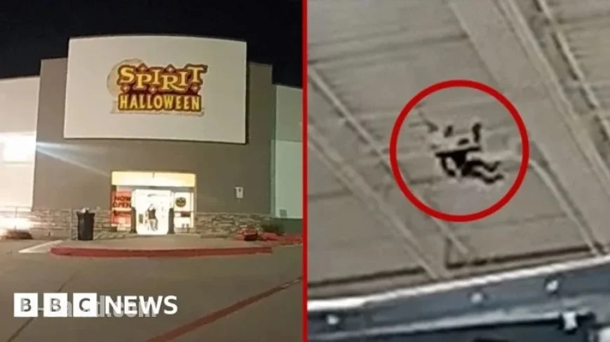 Loose Pet Monkey Causes Chaos in US Halloween Store