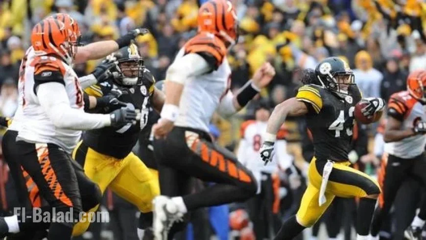 Ex-Steelers Safety Troy Polamalu Haunted Former NFL Running Back’s Dreams