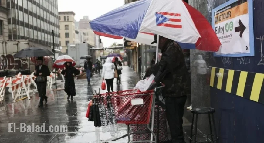 NYC Storm Victim Died Attempting to Rescue Dog from Flooded Basement