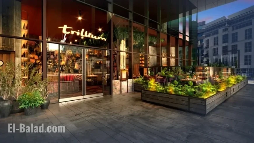 Michelin-Starred Chef Glynn Purnell Opens Innovative Birmingham Restaurant Soon