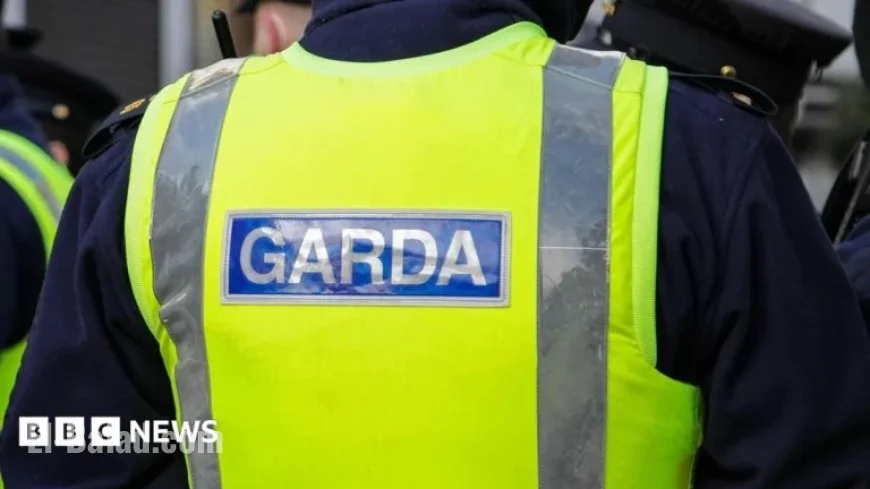 Fireworks Attack in Drogheda Sends Children to Hospital