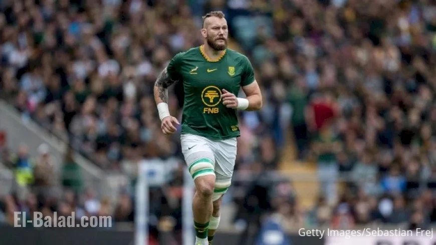 South Africa Springboks Face Japan: Live Rugby Scores and Updates