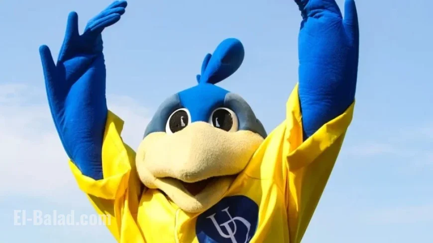 Delaware vs. Liberty Football Live: Updates at 3:30 PM on CBS Sports