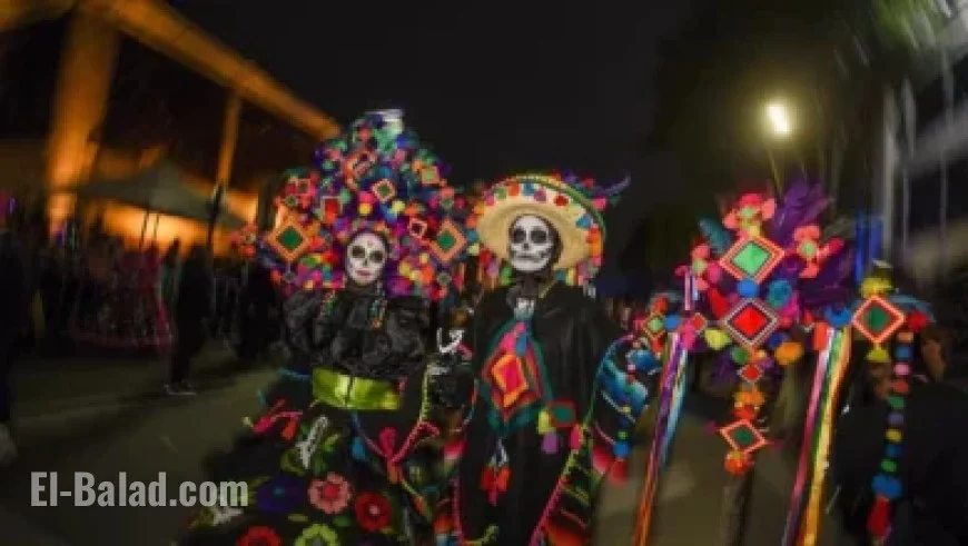 Predators Host Flames: Five Key Highlights