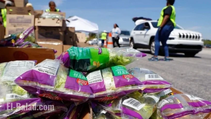 SNAP Disruption Drives Unprecedented Demand, Says Food Bank CEO