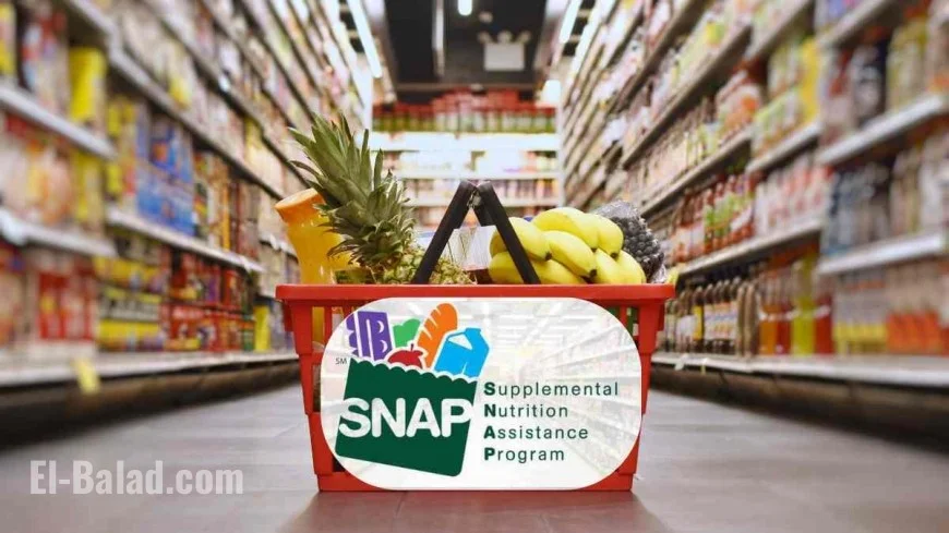 SNAP benefits in November 2025: what the new court orders mean, who got paid today, and how timing may vary by state