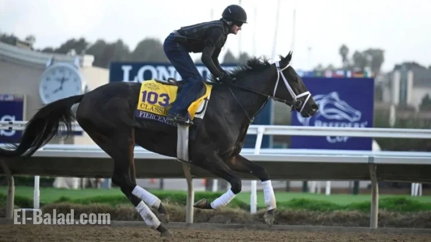 Breeders’ Cup Classic Betting: Wide-Open Field After Sovereignty Scratches