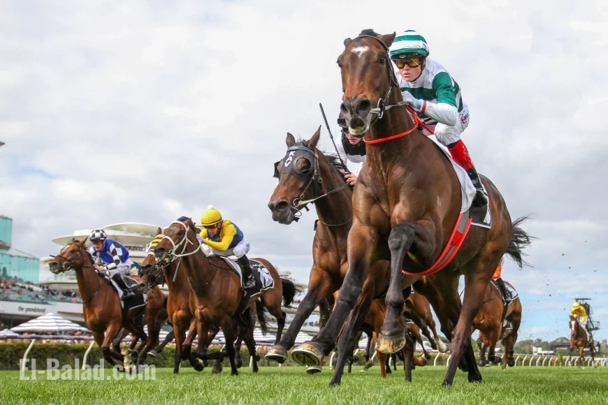 2025 Melbourne Cup horses: full 24-runner field, barriers, and storylines after the draw