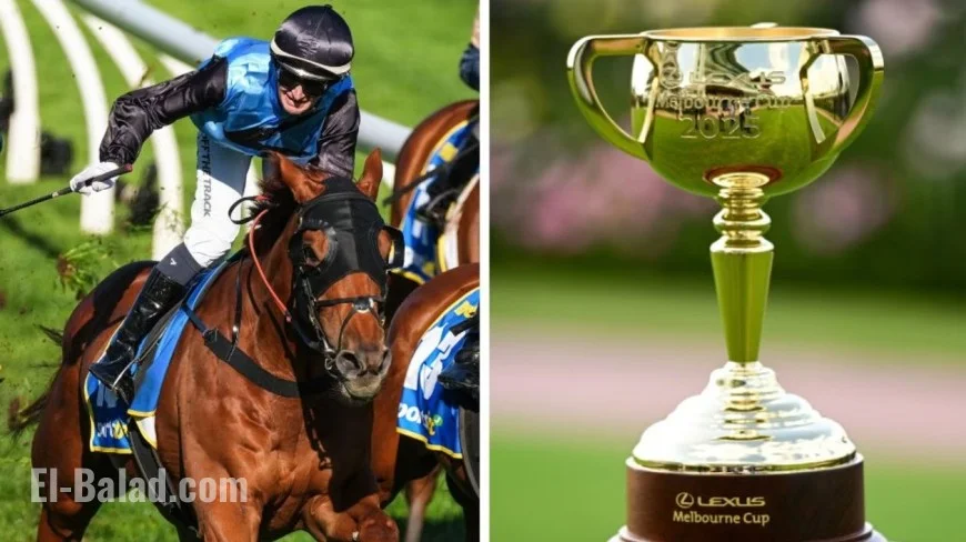 Melbourne Cup 2025: wide gate for topweight Al Riffa, favourite Half Yours draws sweetly as heavy ground looms