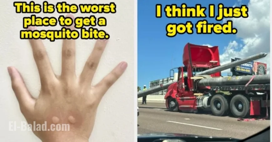 50 Lives Upended by Their Own Poor Choices Last Month