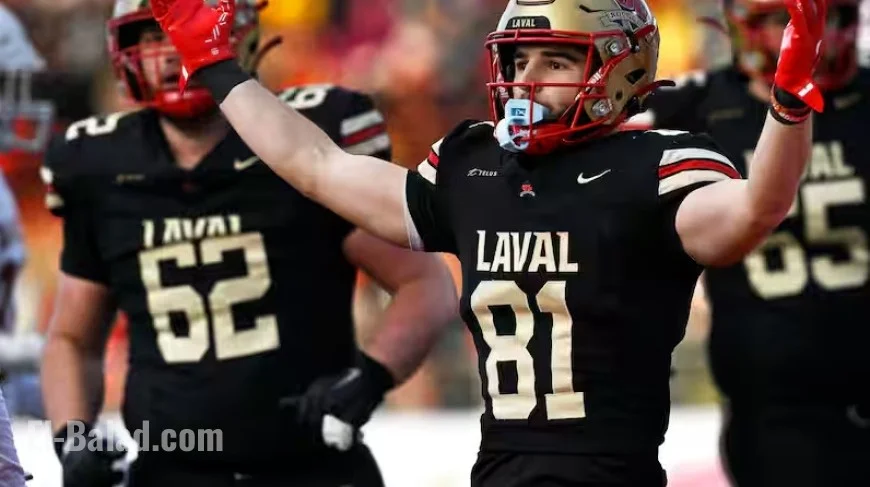 Chaîne sportive francophone au Québec : horaire, Blue Jays ce soir et accès en direct
