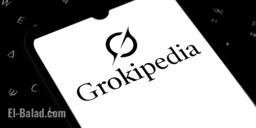 Elon Musk’s Grokipedia Offers AI Lessons for Wikipedia