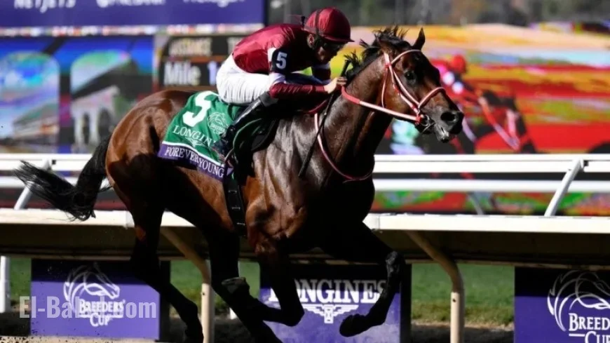 Forever Young Triumphs in $7M Breeders’ Cup Classic in Japan