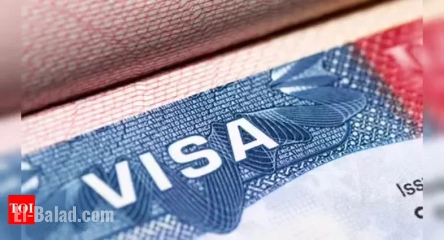 FLAG System Restored: Employers Resume H-1B Visa LCA Submissions
