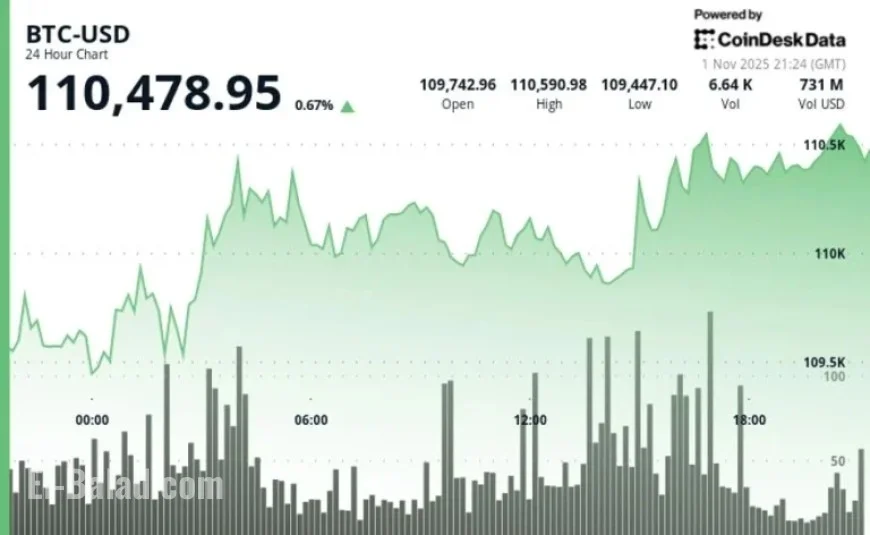 November Insights: High Mean, Modest Median, Crucial Outliers