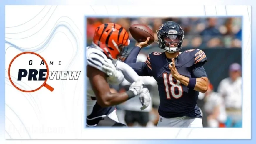 Bears vs. Bengals 2025 Week 9 Game Preview